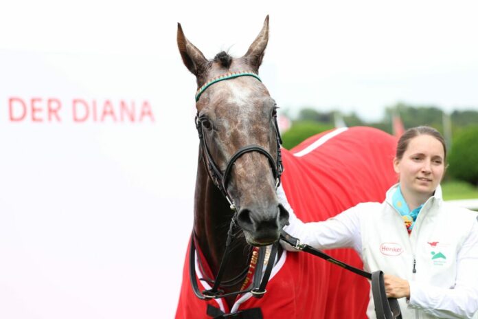 Erle nach dem Sieg im 166. Henkel-Preis der Diana Erle nach dem Sieg im 166. Henkel-Preis der Diana