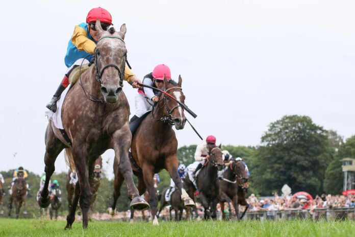 Erle siegt unter Martin Seidl im 166. Henkel-Preis der Diana Erle siegt unter Martin Seidl im 166. Henkel-Preis der Diana