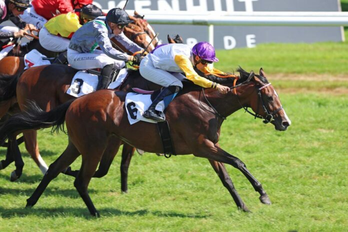 Santagada siegt unter Sibylle Vogt im 151. Renate und Albrecht Woeste - Zukunfts-Rennen Santagada siegt unter Sibylle Vogt im 151. Renate und Albrecht Woeste - Zukunfts-Rennen