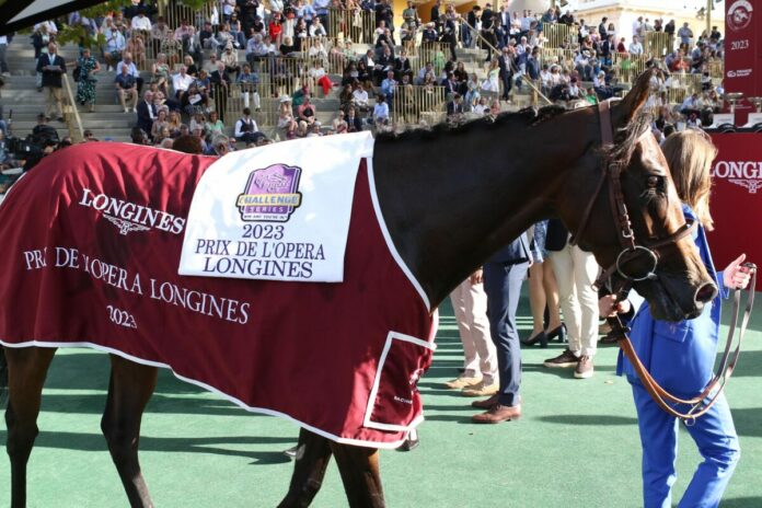 Blue Rose Cen Blue Rose Cen