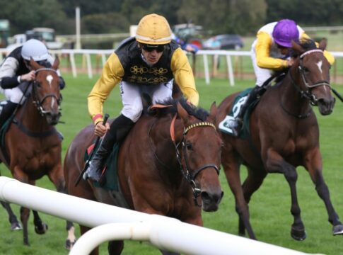 Die große Fahrt beginnt - Stuten-Highlight zum Start ins Derby-Meeting Diamond Crown siegt unter Hugo Boutin
