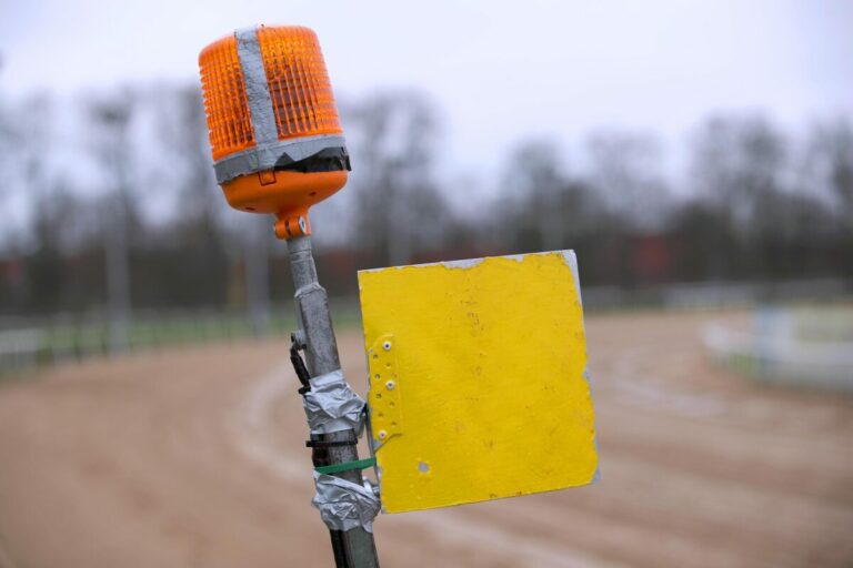 Auktionsrennen von Hannover muss annulliert werden