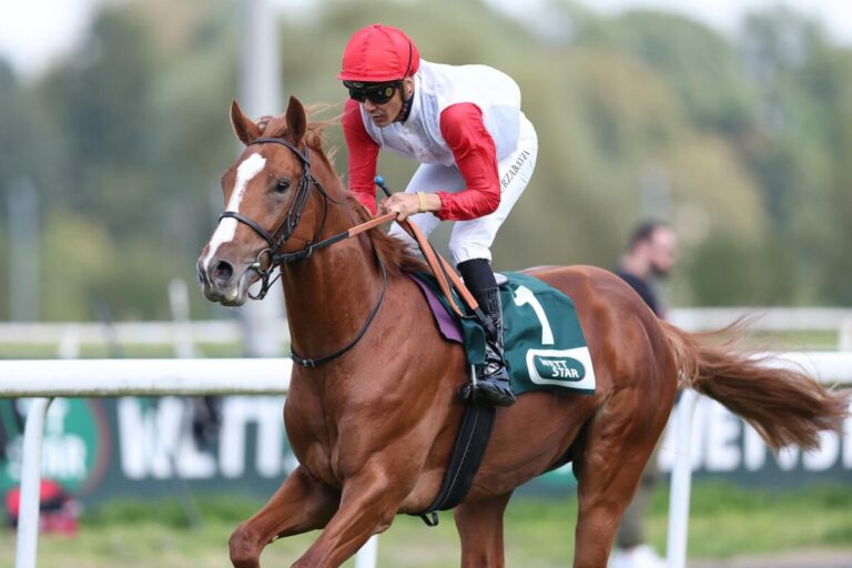 Auch in Dortmund ist der Sieger überlegen! Lifetimes siegt für Schiergen