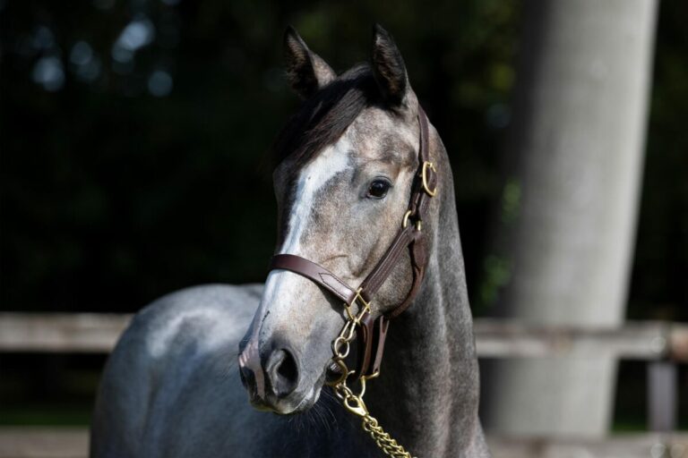 Suborics La Sportiva kann sich beim Debüt auf der Heimatbahn durchsetzen