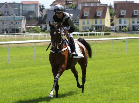 Global Queen chancenlos im Prix Petite Etoile Global Queen