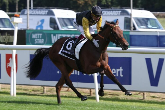 Quebec siegt unter Alexander Pietsch Quebec siegt unter Alexander Pietsch