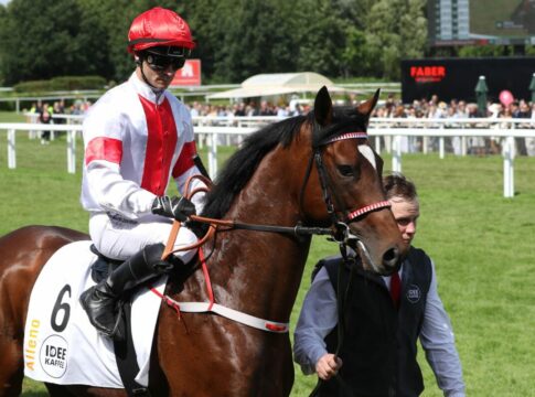 Alleno nachgenannt - Jetzt Sieben im Sauren Dachfonds Preis Alleno