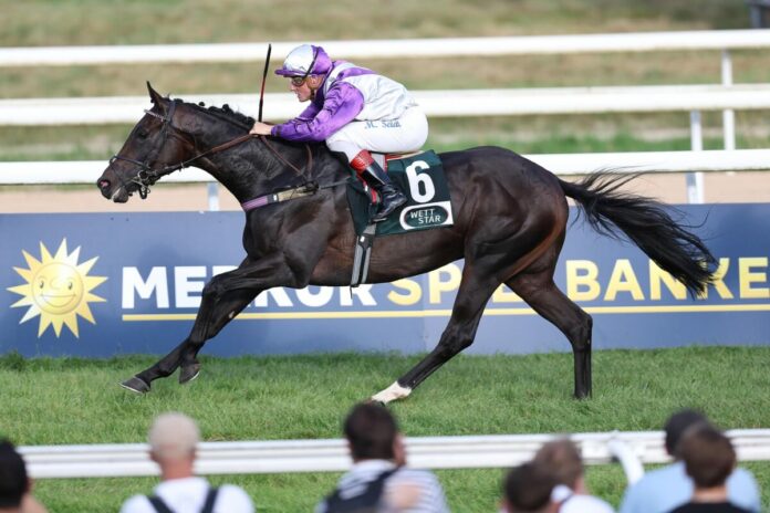 Schwarzer Wolf siegt unter Martin Seidl