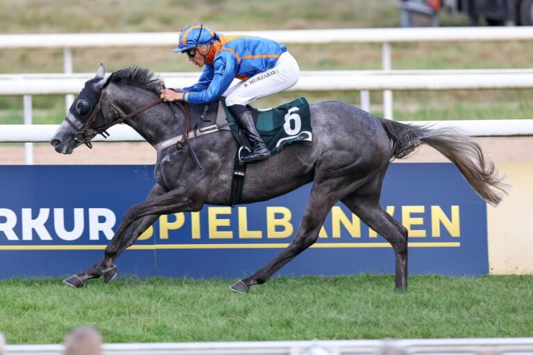 Boltes North Fire wieder auf der Siegerstraße