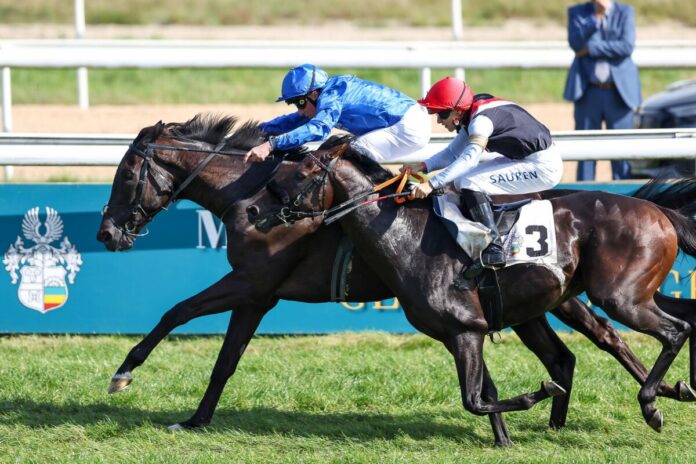 Straight (re.) im Kampf mit Rebel's Romance