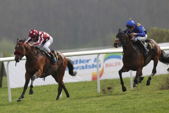 Mr Hollywood siegt unter Andrasch Starke im Preis von Dahlwitz Mr Hollywood siegt unter Andrasch Starke im Preis von Dahlwitz gegen Fantastic Moon