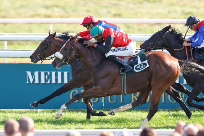 Serienadler siegt unter Rene Piechulek Serienadler siegt unter Rene Piechulek