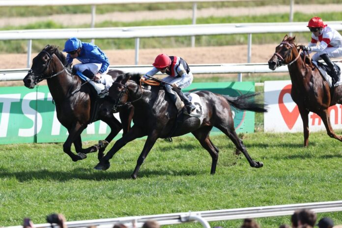 Straight (2.v.li.) gegen Rebel's Romance Straight (2.v.li.) gegen Rebel's Romance