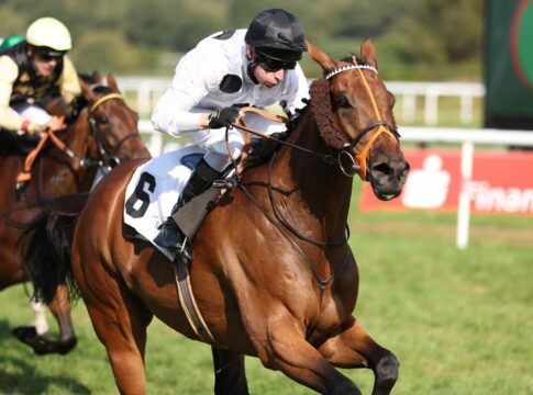 35 im Zastrow Stutenpreis – 21 im Brunner-Oettingen-Rennen Tiffany