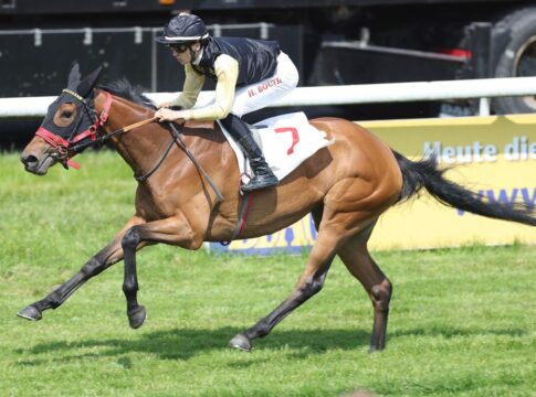 Hamburger Stuten Cup - Gelingt Brümmerhof die Titelverteidigung? Diamond Crown