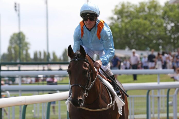 Lazy Griff Lazy Griff