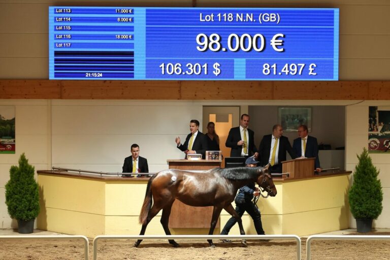 Görlsdorf sorgt für die hohen Preise – 98.000 Euro Top am Freitag