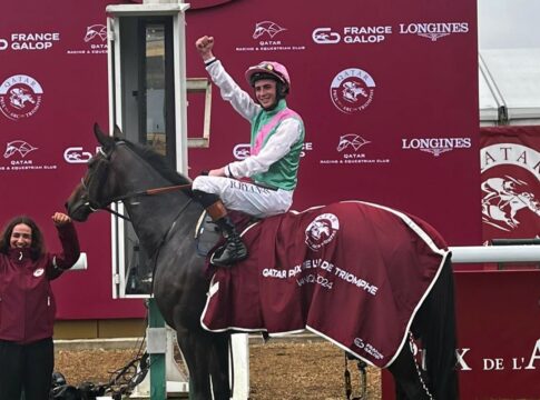 Bluestocking-Verwandte im Angebot der Tattersalls February Sale Bluestocking