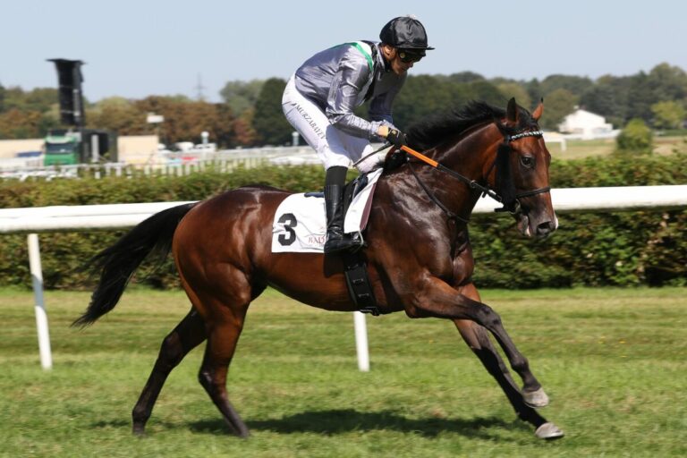 Dhitjari wird Achter bei Ascot-Ausflug