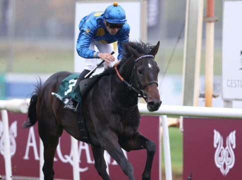 New England siegt unter Bauyrzhan Murzabayev im Brümmerhof Youngster Cup, L.