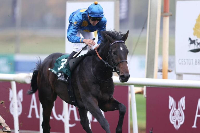 Erneut Schiergen bei Zweijährigen  – New England vorne