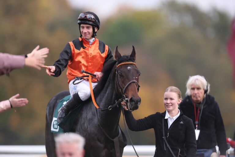 Auch in niedrigerer Klasse ohne Probleme – Free Lips erneut in Hannover vorne