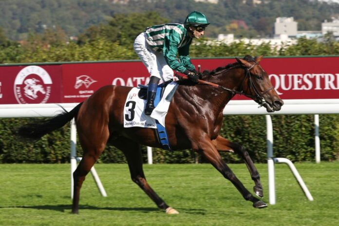 Maranoa Charlie siegt unter Aurelien Lemaitre im Prix Thomas Bryon Jockey Club de Turquie, Gr.3