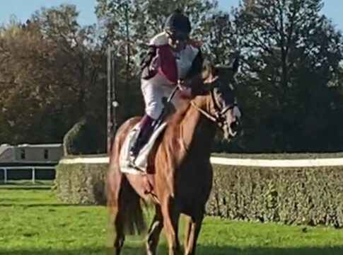 Deutsche Zweierwette bei Zweijährigen in Lyon Nearco Frod (Archiv)