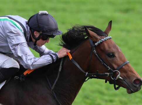 Krasser Einbruch: Nur 78 Nennungen für den Preis der Winterkönigin 2025 Nicoreni siegt unter Sibylle Vogt im Carla Kellner Zukunftsrennen - Preis der Winterkönigin