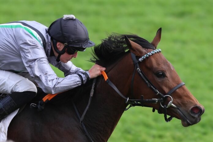 Nicoreni siegt unter Sibylle Vogt im Carla Kellner Zukunftsrennen - Preis der Winterkönigin Nicoreni siegt unter Sibylle Vogt im Carla Kellner Zukunftsrennen - Preis der Winterkönigin