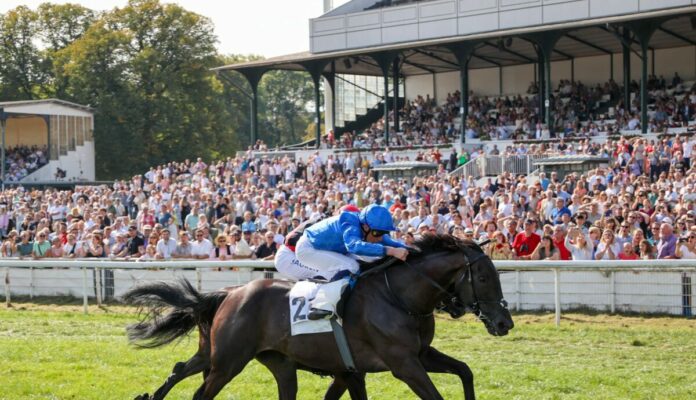 Rebels Romance gewinnt unter William T. Buick den 62. Preis von Europpa_copyright sabine.effgen Rebel's Romance gewinnt unter William Buick den 62. Preis von Europa