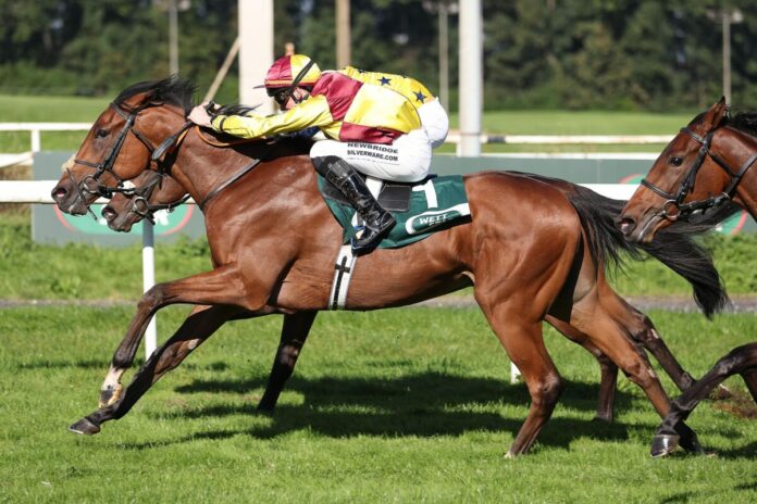 Saint Valantin siegt unter Sean Byrne