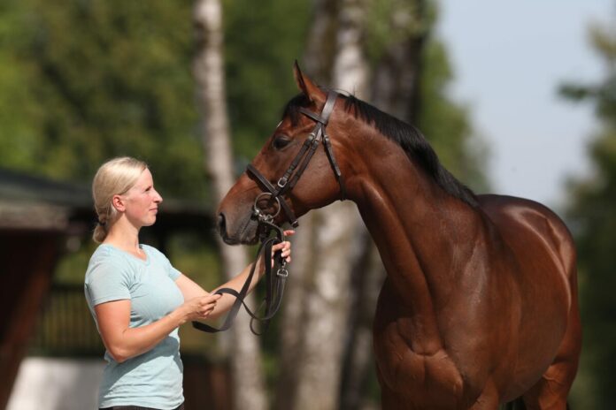 Sarah Steinberg mit Fantastic Moon Sarah Steinberg mit Fantastic Moon