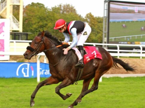 Auf nach Saudi-Arabien - Straight für Neom Turf Cup in Riad eingeladen Straight