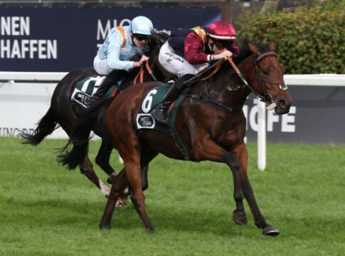 Listensieger Tarkhan nach England verkauft Tarkhan siegt unter David Liska im Isfahan Mnchner Herbst-Preis, L.