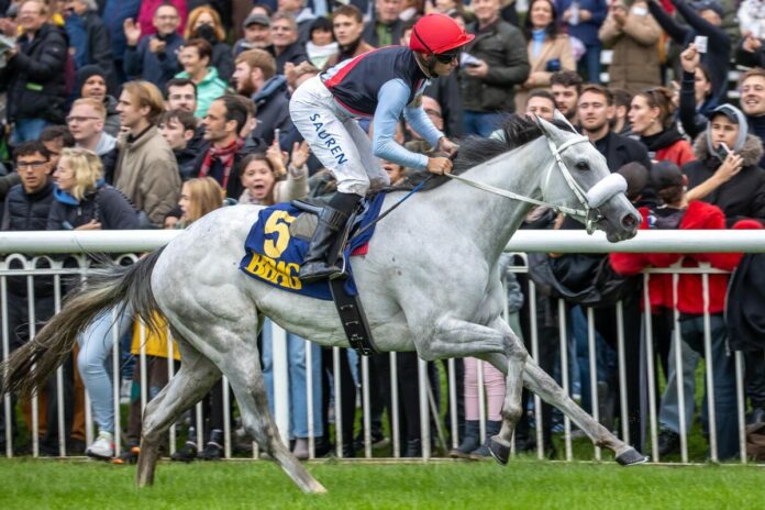 Three Havanas siegt unter Thore Hammer-Hansen im BBAG-Auktionsrennen