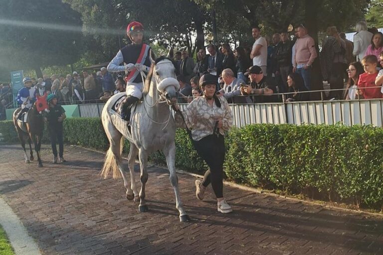 Grewes Three Havanas Vierte im Premio Ribot