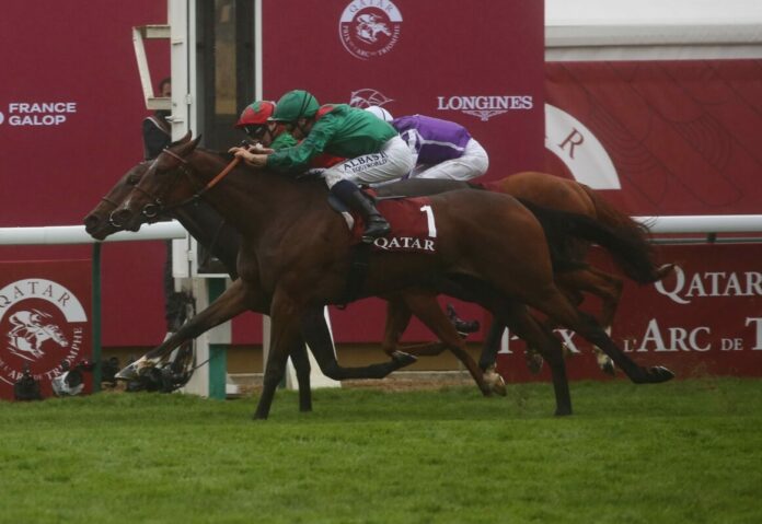 Vertical Blue schlägt Zarigana Foto: Hemke Vertical Blue schlägt Zarigana Foto: Hemke