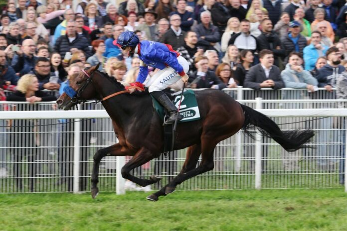 Assistent siegt unter Thore Hammer-Hansen in der Baden Galopp Herbst-Trophy, Gr.3