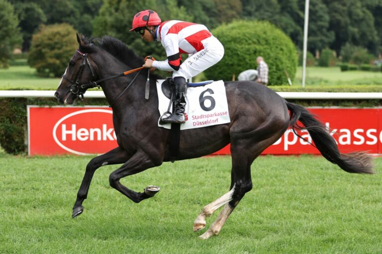 Dresdner Saisonabschluss mit traditionellem Jugendpreis