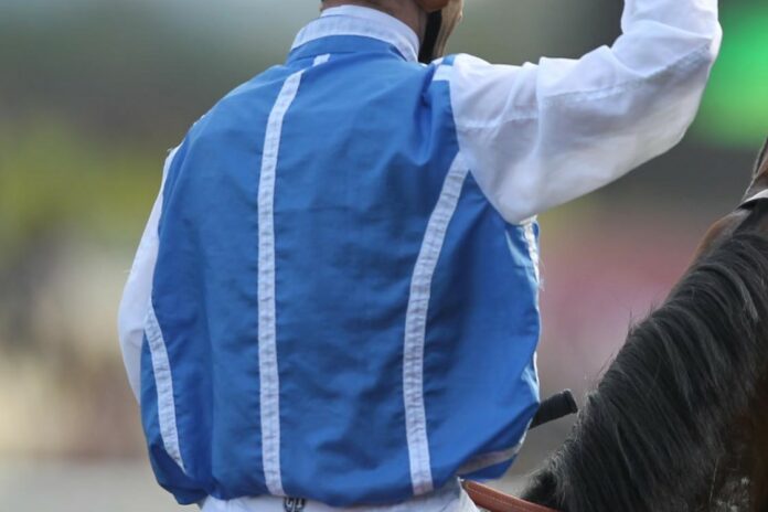 Rennfarben Wertheimer