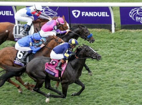 Breeders' Cup Held More Than Looks wird Deckhengst in Australien More Than Looks