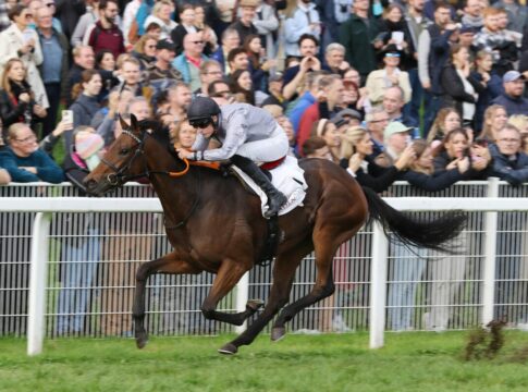 Dienstag Nennungsschluss für Winterfavorit und Winterkönigin Nicoreni