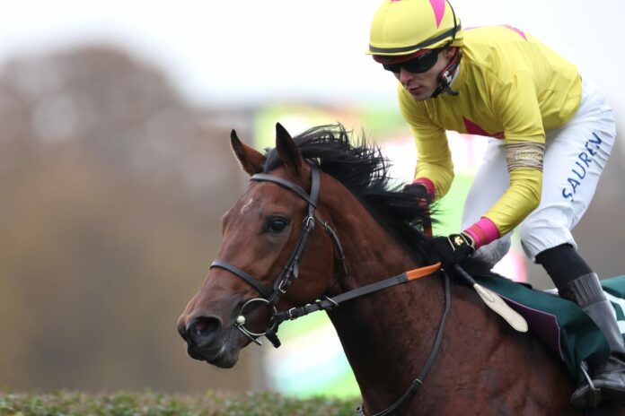 Pompeo Dream siegt unter Thore Hammer-Hansen im Herzog von Ratibor-Rennen Pompeo Dream siegt unter Thore Hammer-Hansen im Herzog von Ratibor-Rennen