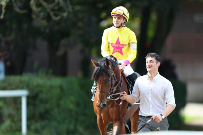 Pompeo Dream Pompeo Dream