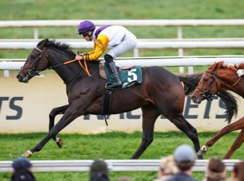 Mit Juwelier und Quinto - Zwei weitere Nennungen für Badener Derby-Trial Quinto siegt unter Sibylle Vogt