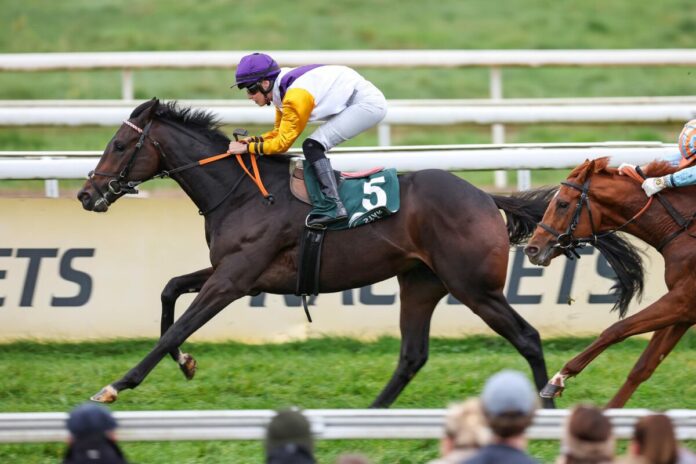 Quinto siegt unter Sibylle Vogt Quinto siegt unter Sibylle Vogt