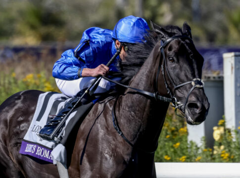 Enzian raus - sechs Starter im Westminster 135. Großen Preis von Berlin Rebel’s Romance (Rich Steele/Eclipse Sportswire/Breeders Cup)