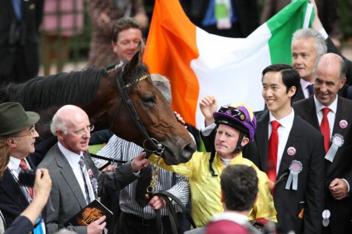 Sea The Stars nach seinem Arc-Sieg im Jahr 2009 Sea The Stars nach seinem Arc-Sieg im Jahr 2009
