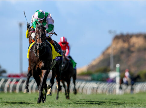 Breeders Cup Sieger Starlust wird auf Royal Ascot vorbereitet Starlust Foto: Eclipse Sportswire